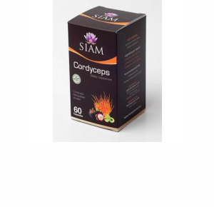 cordyceps